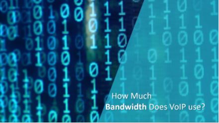 How Much Bandwidth Does VoIP Use, Maryland, DC